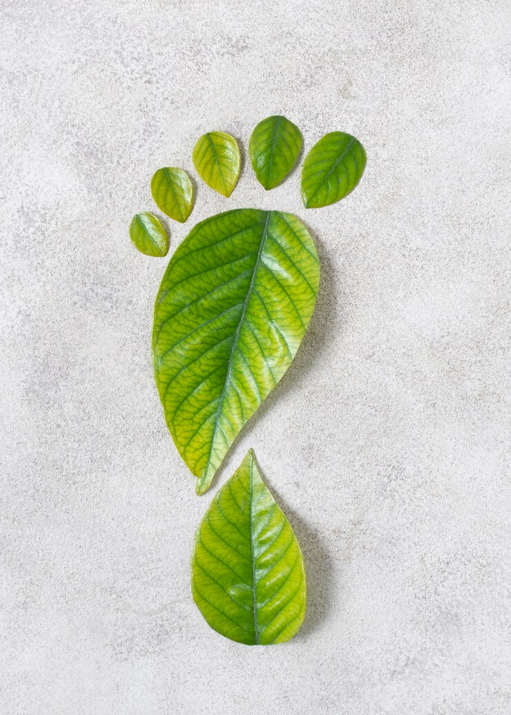 Environment